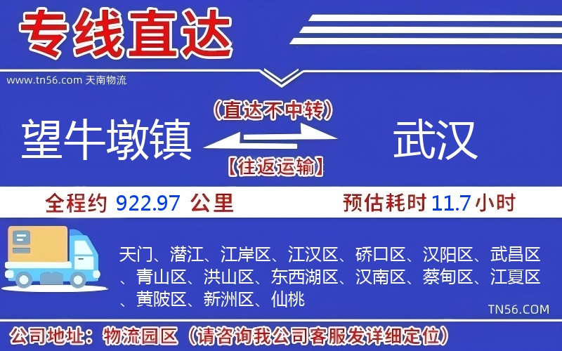 望牛墩镇到武汉物流公司 望牛墩镇到武汉物流公司