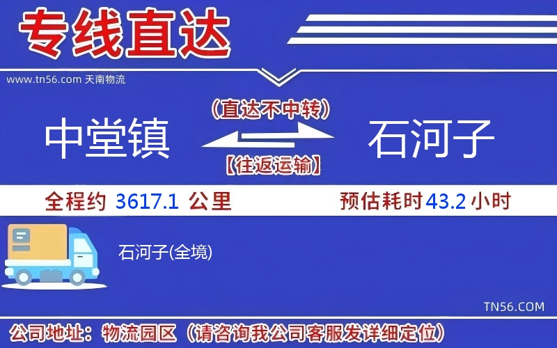 中堂镇到石河子物流公司